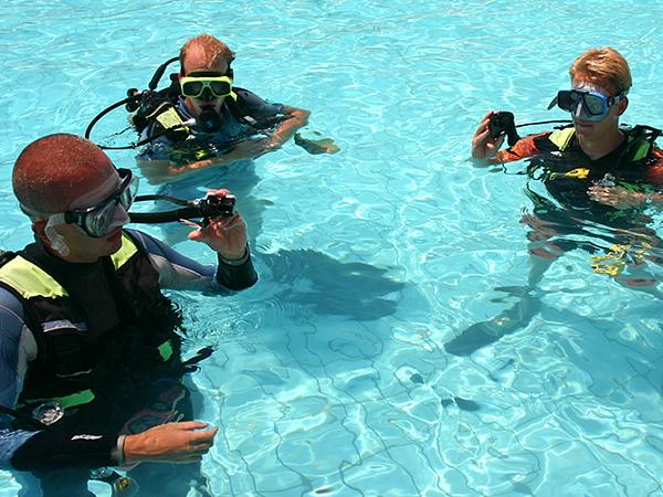 Certification Course   Open Water